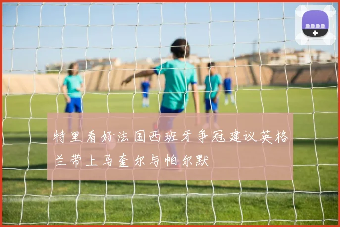 特里看好法国西班牙争冠建议英格兰带上马奎尔与帕尔默