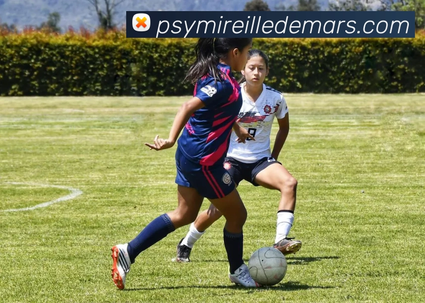 奖项证书